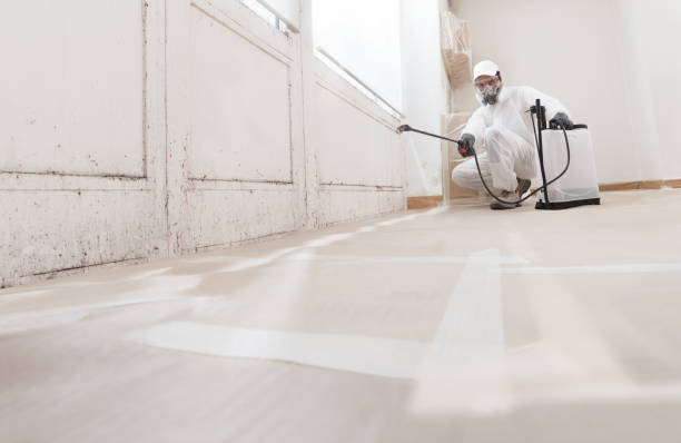 24/7 Emergency Bathroom Mold Removal experts in Westport, PA